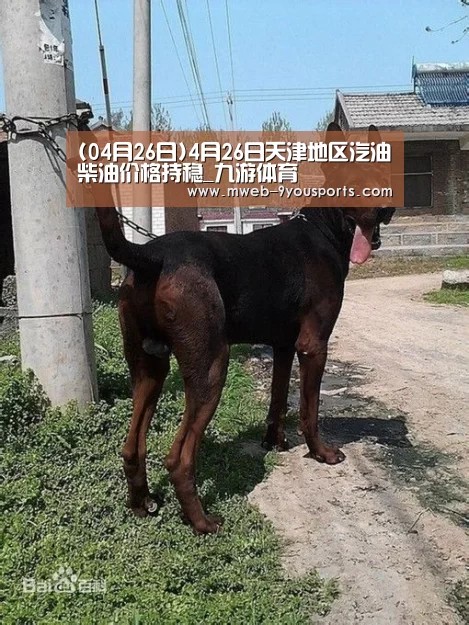 (04月26日)4月26日天津地区汽油柴油价格持稳_九游体育(图3) 九游体育