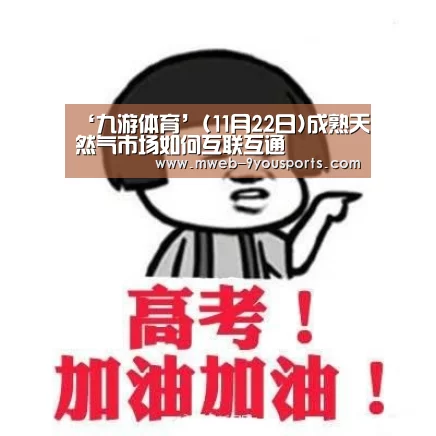 ‘九游体育’(11月22日)成熟天然气市场如何互联互通(图1) 九游体育
