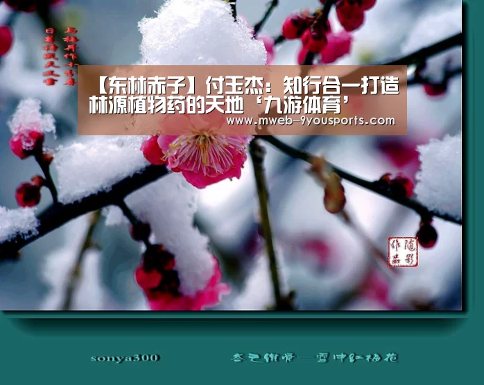 九游体育
